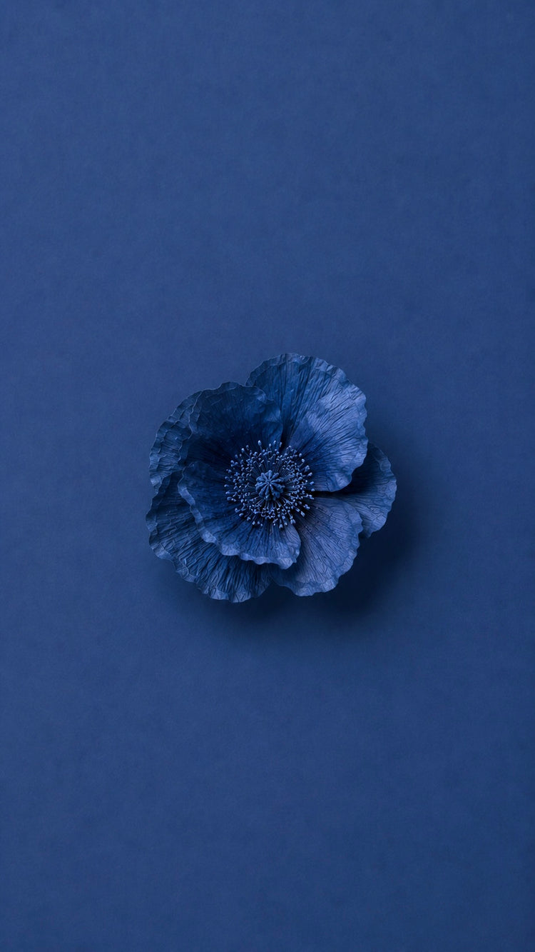 For Him